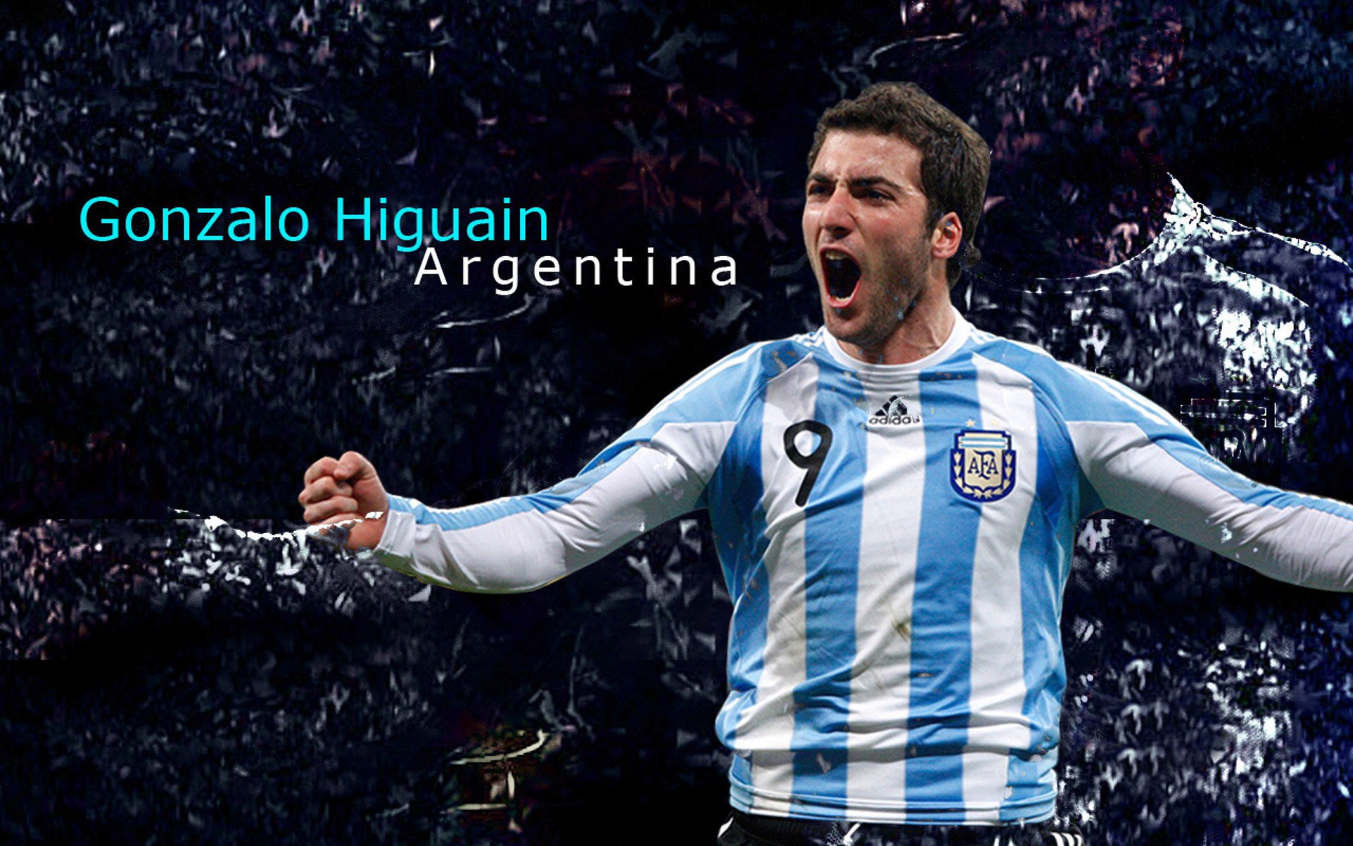 国家队备战体系升级，增强竞技实力，国家队的要求